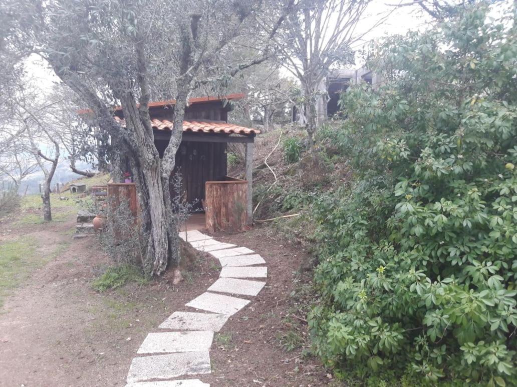 Cabana Da Oliveira Марку-ди-Канавезиш Экстерьер фото